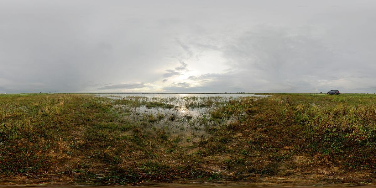 Darscho / Warmsee (Nordufer) bei Apetlon (Foto: © Werner Pietschmann)