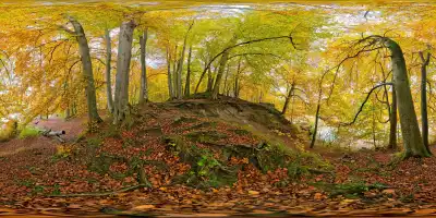 Isarauen bei Grünwald