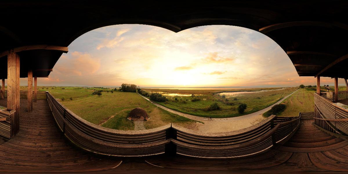 Aussichtsturm in der Hölle bei Illmitz (Foto: © Werner Pietschmann)