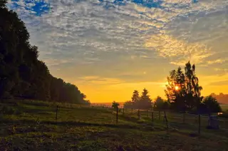 Abendstimmung