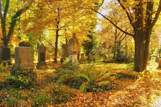 Alter Südfriedhof