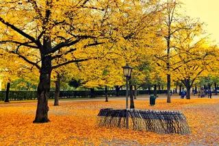 Herbst im Hofgarten